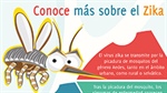 Cruz Roja Colombiana Seccional Antioquia invita a tomar medidas preventivas frente al Zika